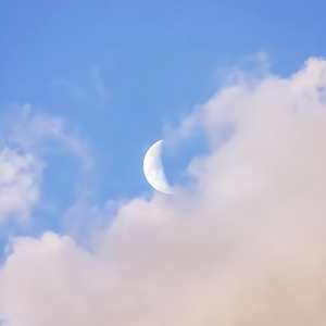 被送到黑人变态性俱乐部小说
