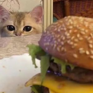 被送到黑人变态性俱乐部小说
