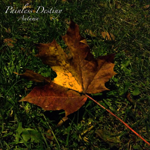 被送到黑人变态性俱乐部小说
